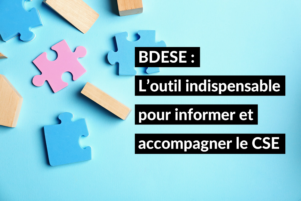 La BDESE regroupe des informations stratégiques sur l’activité, la gestion et les enjeux environnementaux. 