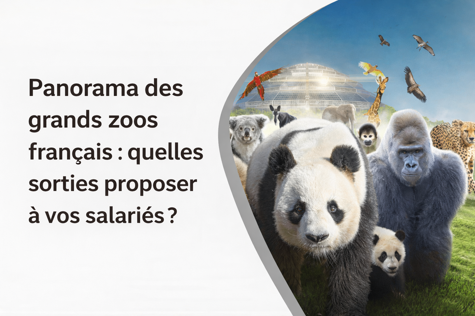 Panorama des grands zoos français : quelles sorties proposer à vos salariés ?