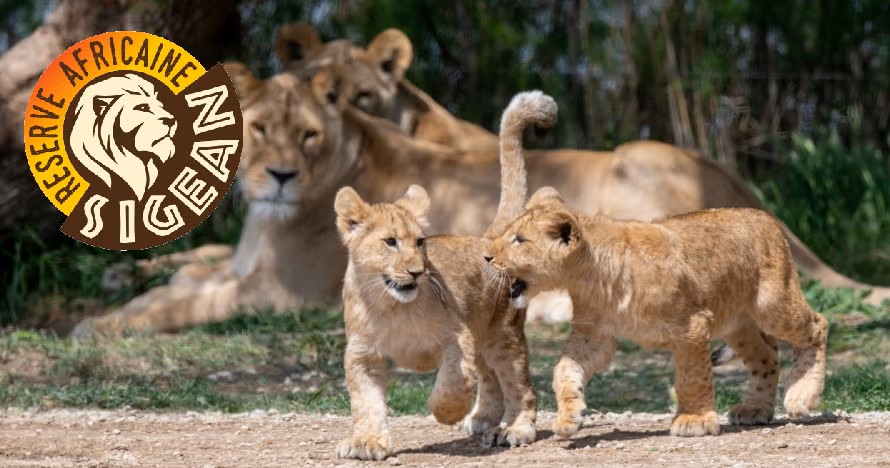 Réserve Africaine de Sigean - Aude (11)