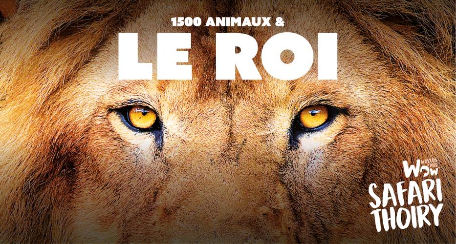 WOW Safari Thoiry - Yvelines (78)