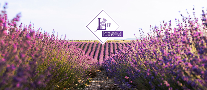 LHP / Lavanderaie de Haute Provence